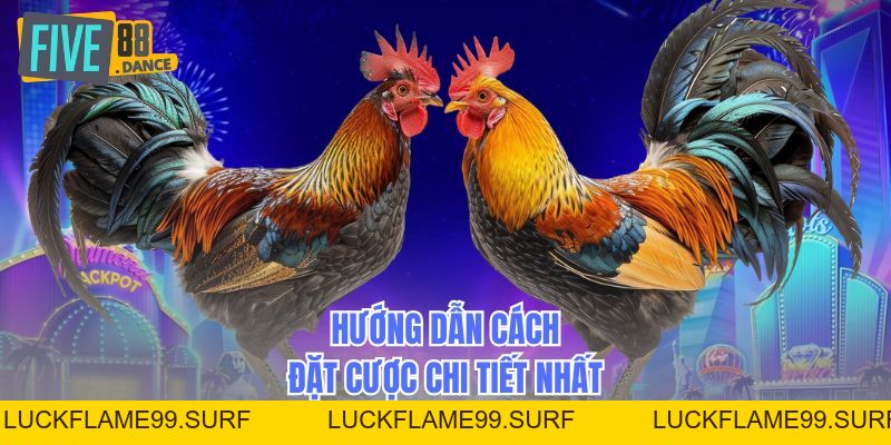 Đá Gà Bồ 67 - Bí Quyết Cá Cược Chiến Thắng - LUCKFLAME99 Đá Gà Bồ 67 - Bí Quyết Cá Cược Chiến Thắng - LUCKFLAME99