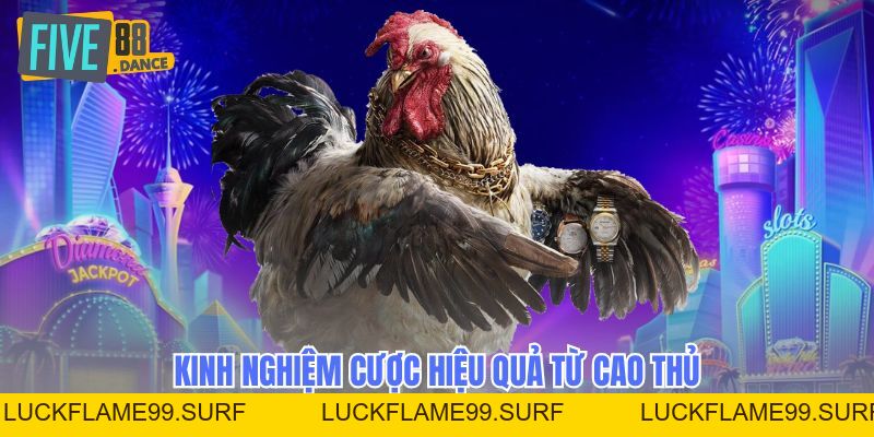 Đá Gà - Sảnh Cược Trực Tiếp Hấp Dẫn 2026 - LUCKFLAME99