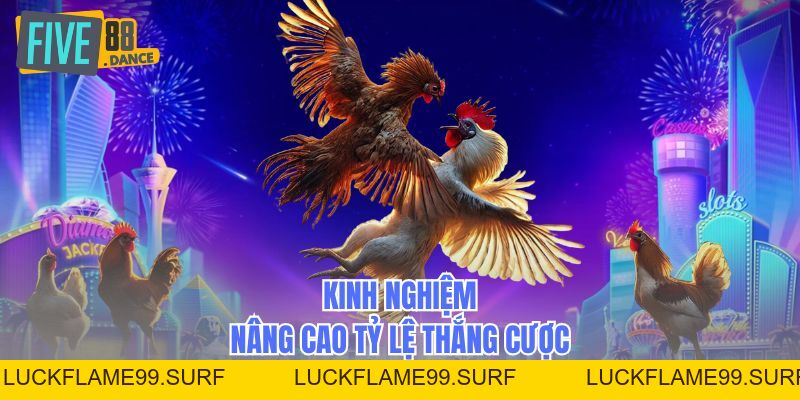 Đá Gà Bồ 67 - Bí Quyết Cá Cược Chiến Thắng - LUCKFLAME99 Đá Gà Bồ 67 - Bí Quyết Cá Cược Chiến Thắng - LUCKFLAME99