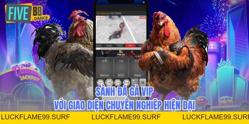 Đá Gà VIP - Sảnh Cược Đẳng Cấp Cho Dân Chơi Sành - LUCKFLAME99 Đá Gà VIP - Sảnh Cược Đẳng Cấp Cho Dân Chơi Sành - LUCKFLAME99