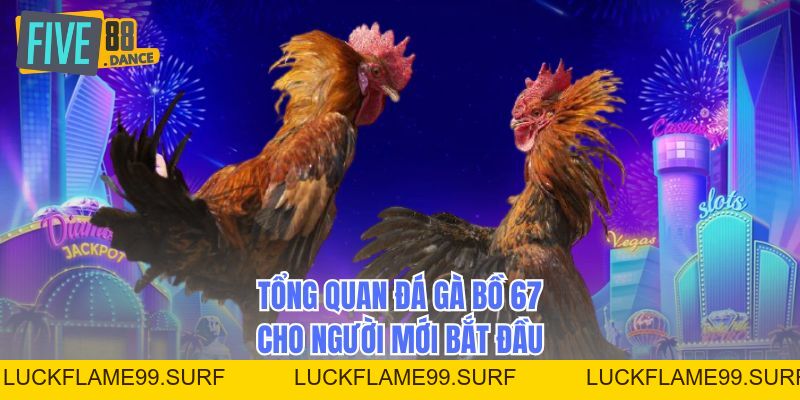 Đá Gà Bồ 67 - Bí Quyết Cá Cược Chiến Thắng - LUCKFLAME99 Đá Gà Bồ 67 - Bí Quyết Cá Cược Chiến Thắng - LUCKFLAME99